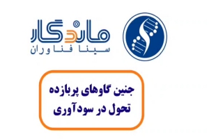 یک روز کاری در شرکت سینا فناوران ماندگار