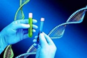 بررسی جایگاه آزمایش های ژنتیکی قبل از لانه‌گزینی جنین