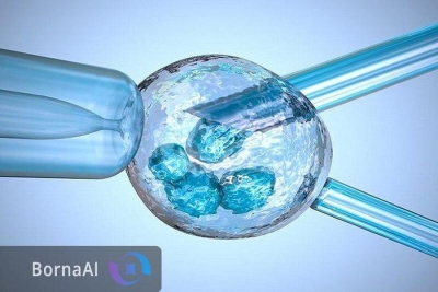 راه‌اندازی کلینیک‌های ویژه سقط مکرر در ابن‌سینا برای درمان هدفمند زوج‌ها